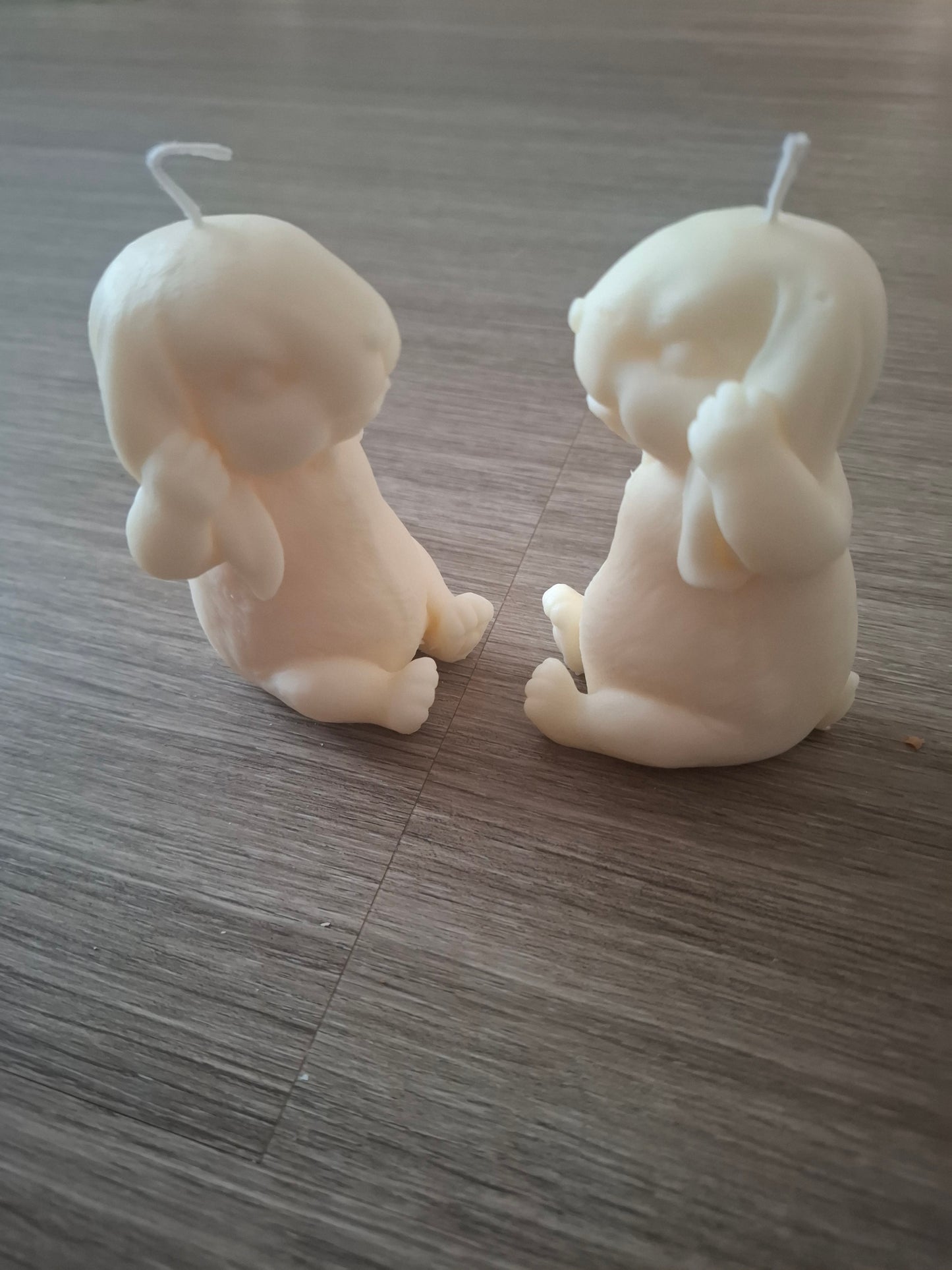 Le Lapin