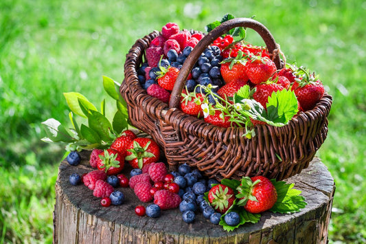 Fondant Fruits Rouges