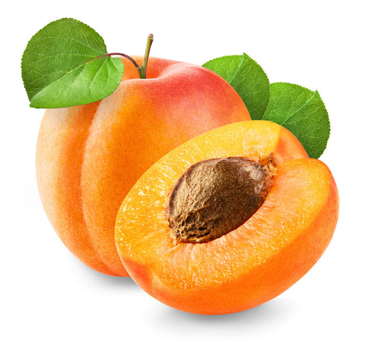 Fondant Nectar d'Abricot
