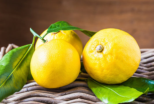Fondant Bergamote