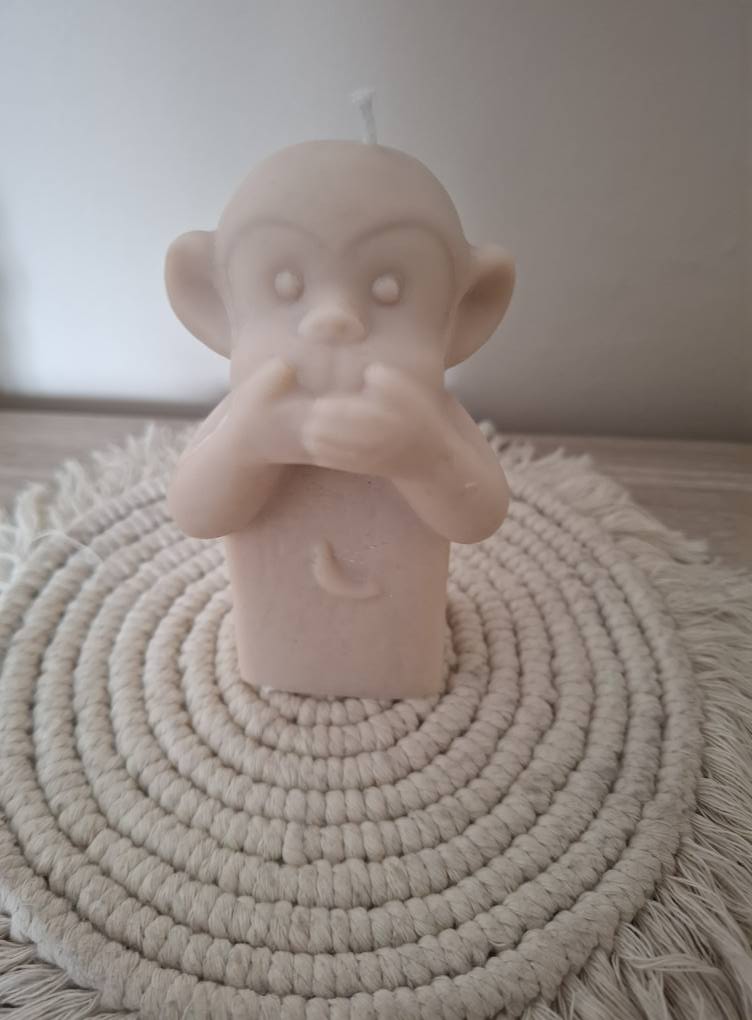 Singe Sagesse