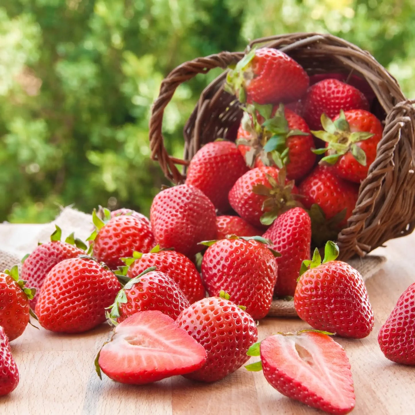 Fondant Fraise des Bois
