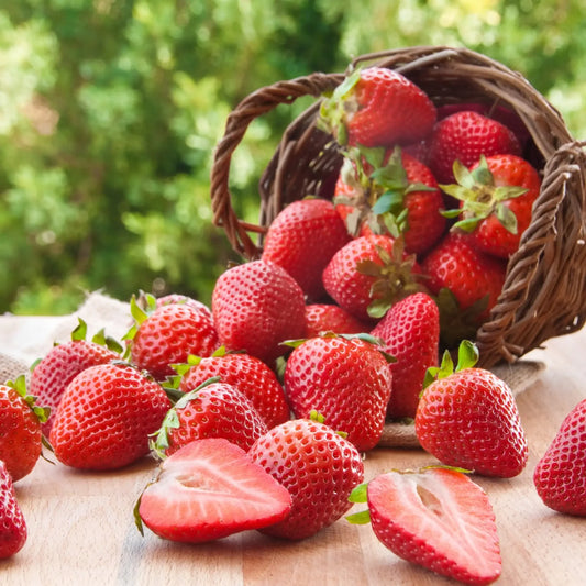 Fondant Fraise des Bois