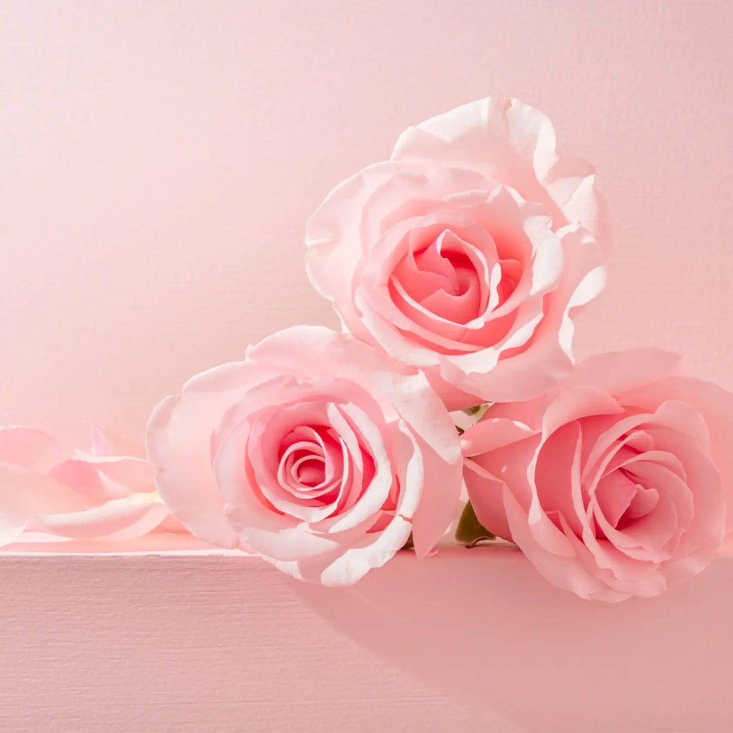 Fondant Rose