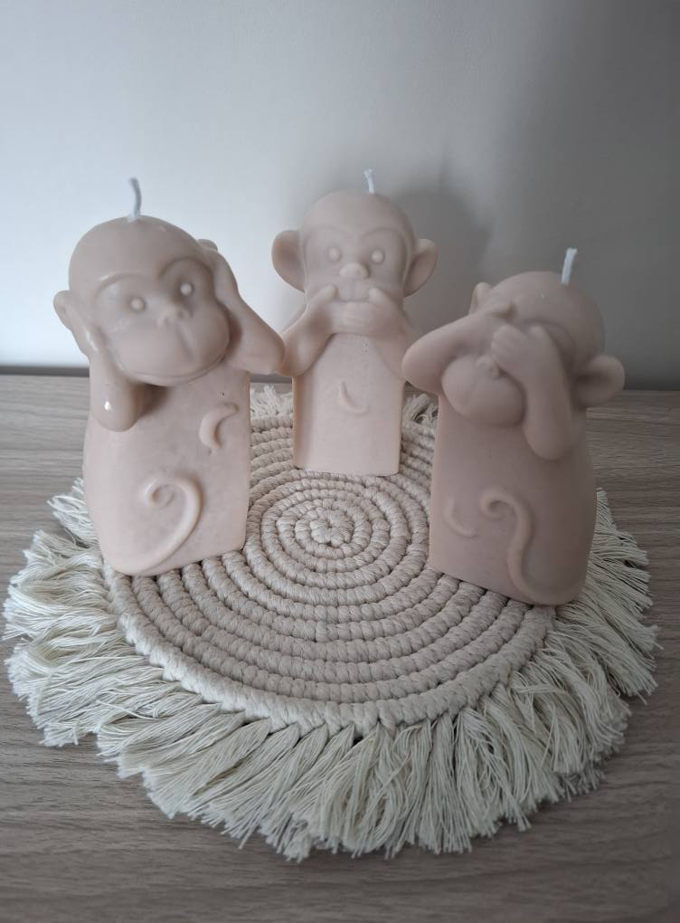 Singe Sagesse