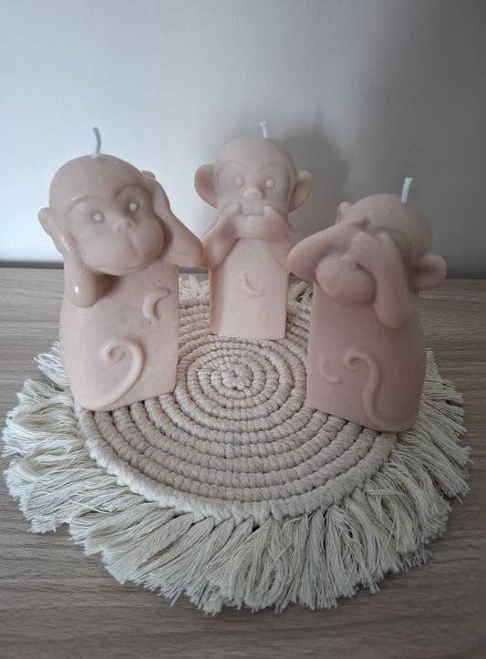 Singe Sagesse