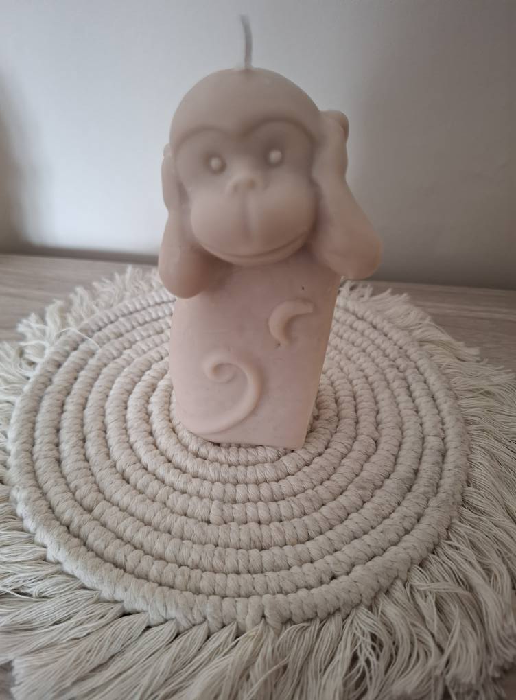 Singe Sagesse